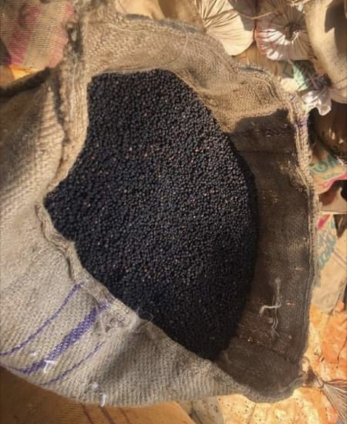 Black Pepper